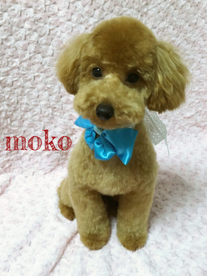 Processed with MOLDIV