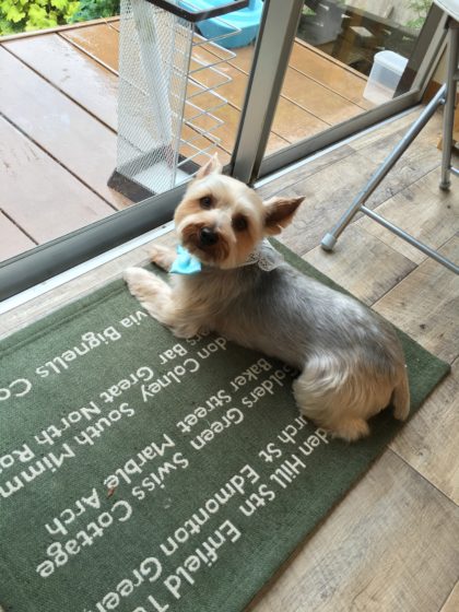 2016-05-09 12.36.06 HDR