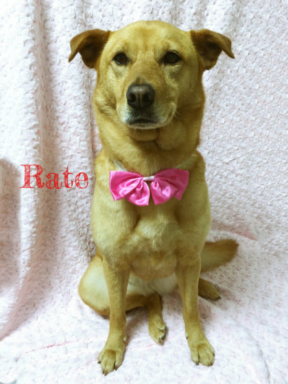 Processed with MOLDIV