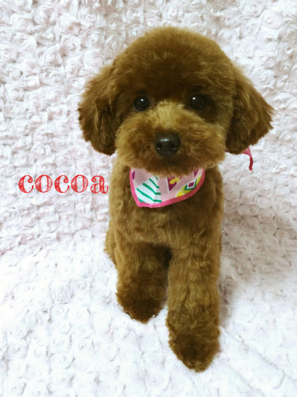 Processed with MOLDIV