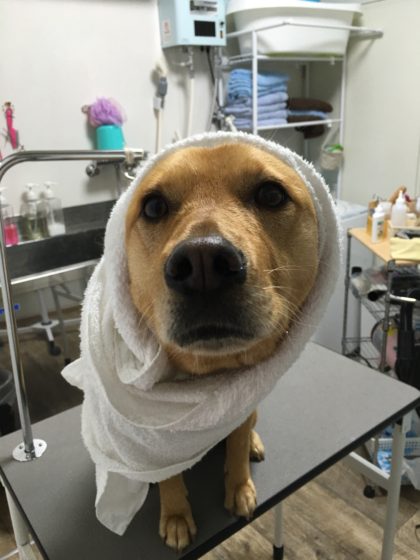 2016-05-10 19.59.24-1