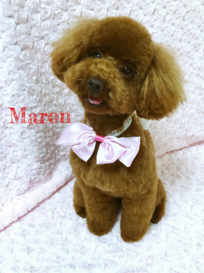 Processed with MOLDIV