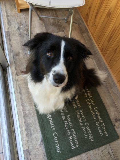 2016-05-13 12.52.49 HDR