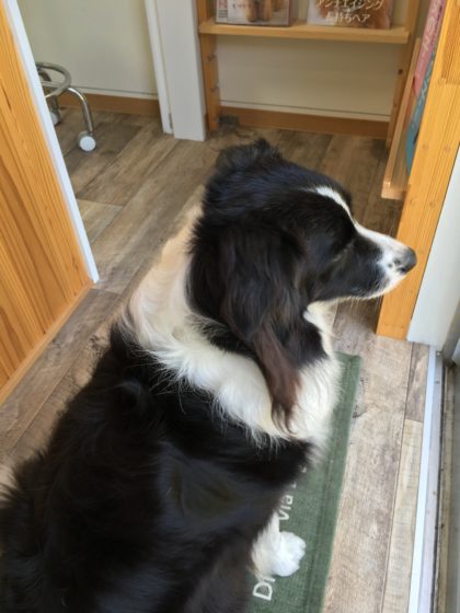 2016-05-13 12.53.04 HDR