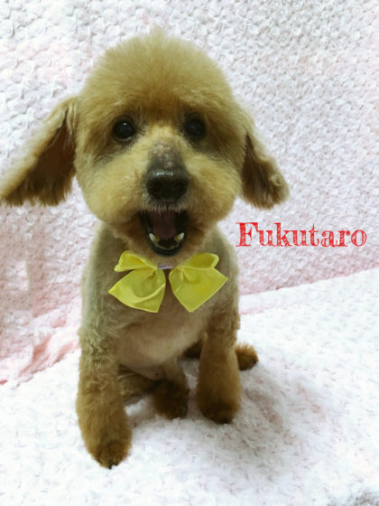 2016-05-13 16.41.42-1