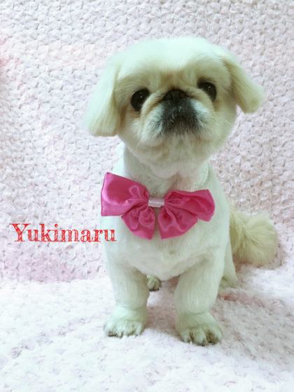 Processed with MOLDIV