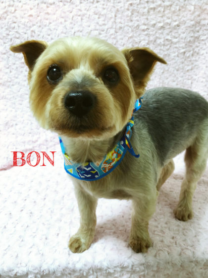 Processed with MOLDIV