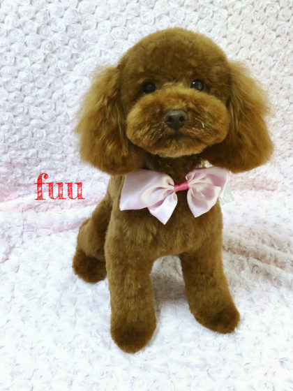 Processed with MOLDIV