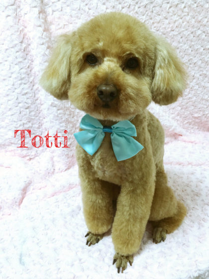 2016-05-17 16.18.08-1