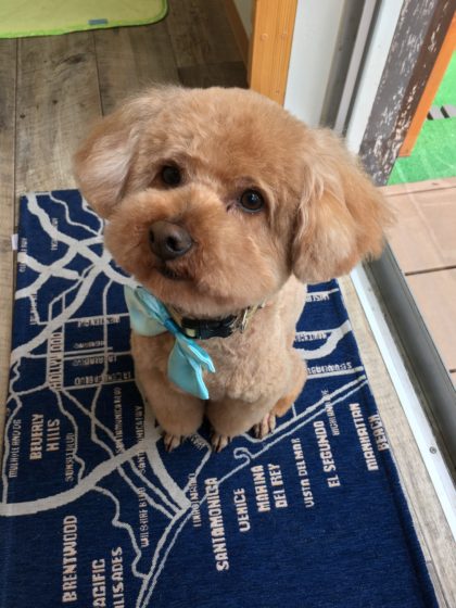 2016-05-17 16.42.12 HDR