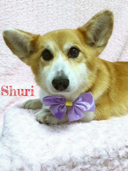 2016-05-18 16.59.30-2