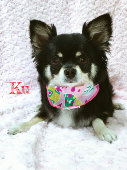 Processed with MOLDIV