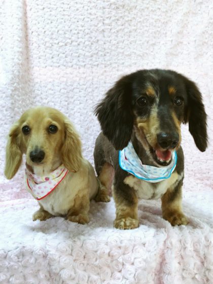 Processed with MOLDIV