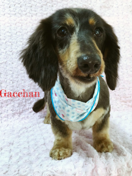 Processed with MOLDIV