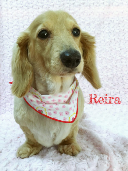 Processed with MOLDIV