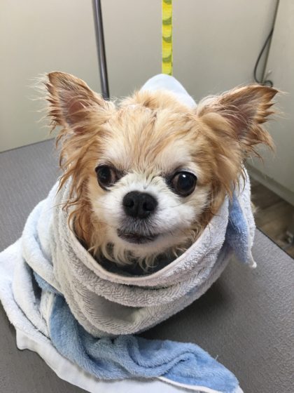 2016-05-23 09.45.36-2