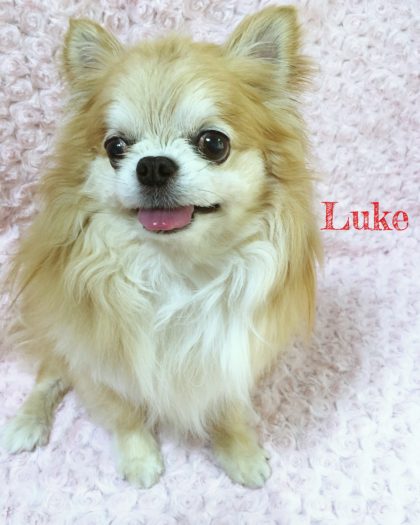 Processed with MOLDIV