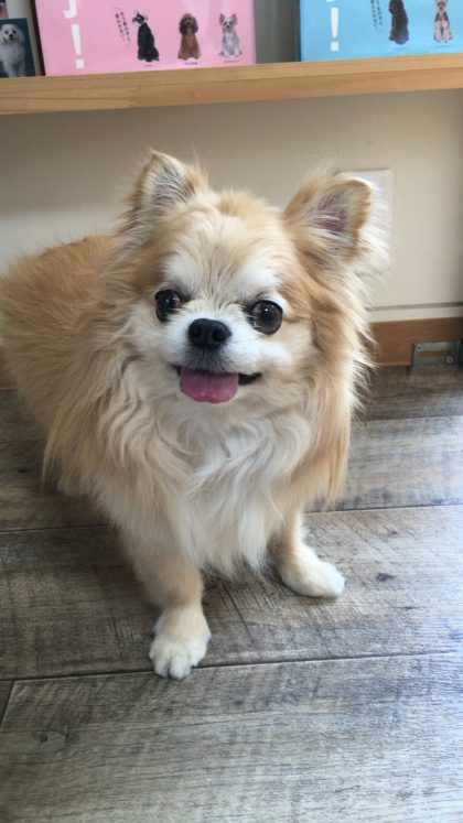 2016-05-23 12.12.16-2