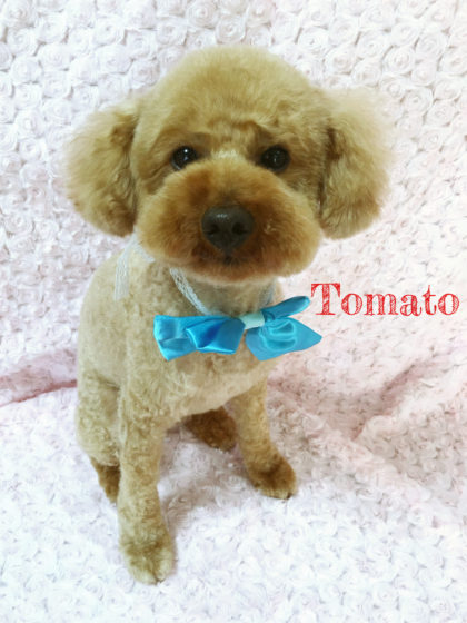 Processed with MOLDIV