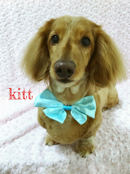 Processed with MOLDIV