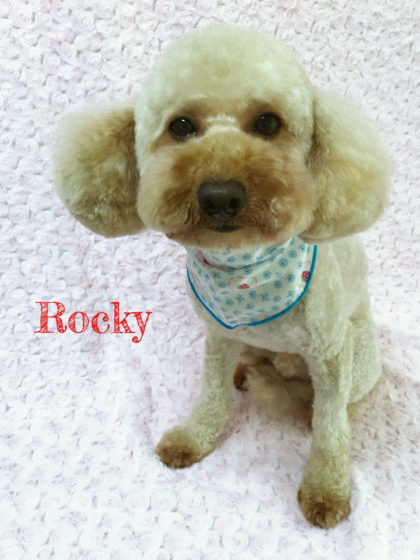 Processed with MOLDIV