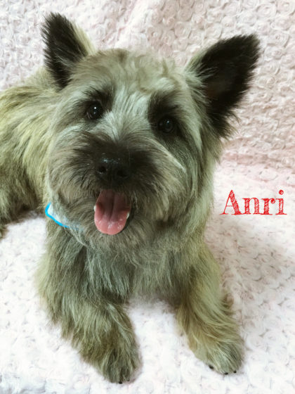 2016-05-27 16.32.38-3