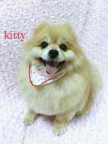 Processed with MOLDIV