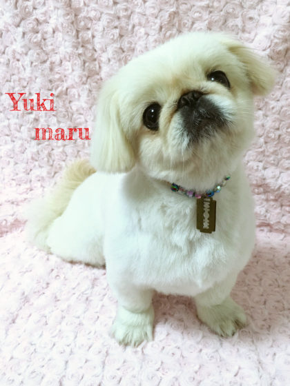 Processed with MOLDIV