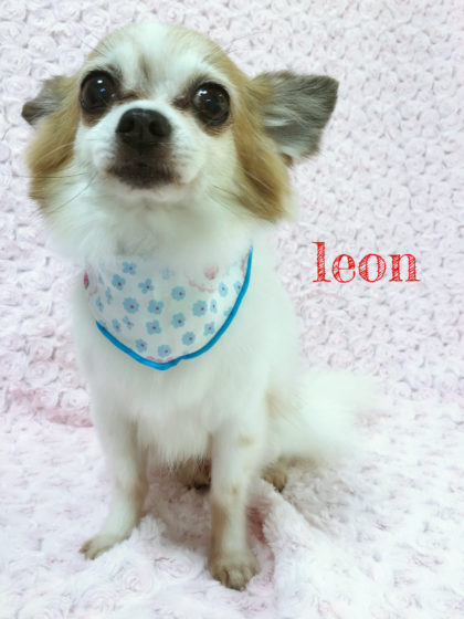 Processed with MOLDIV