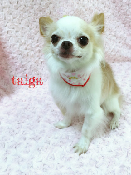 Processed with MOLDIV