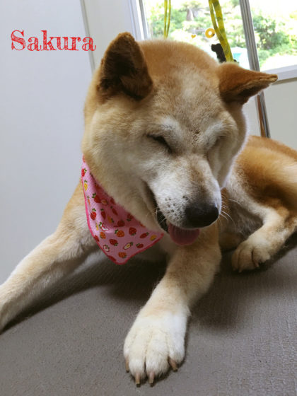 Processed with MOLDIV