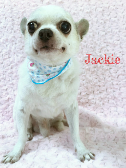 Processed with MOLDIV