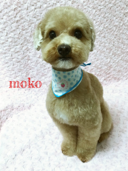 Processed with MOLDIV