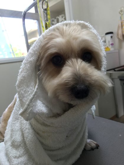 Processed with MOLDIV