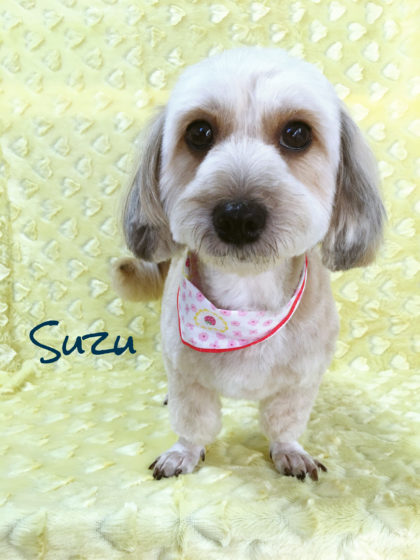 Processed with MOLDIV