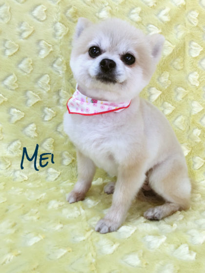 Processed with MOLDIV