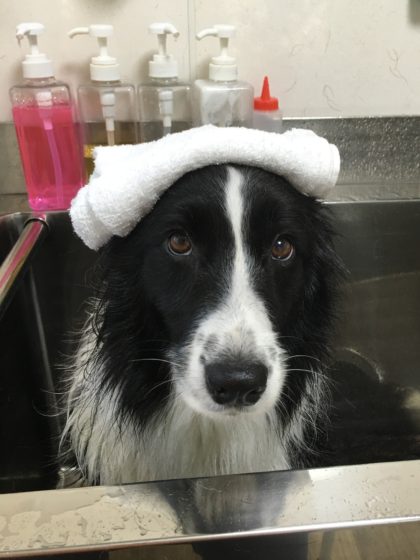 Processed with MOLDIV