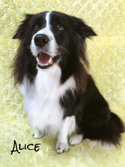 Processed with MOLDIV