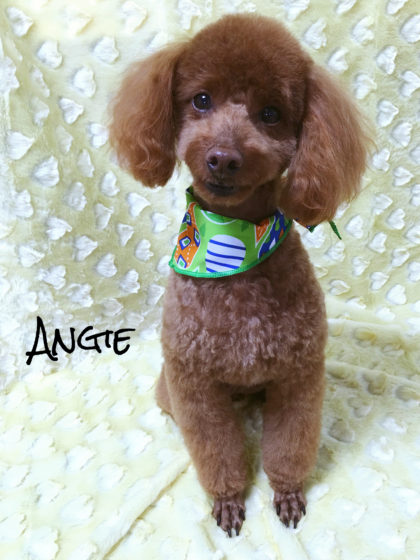 Processed with MOLDIV