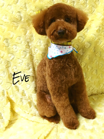 Processed with MOLDIV