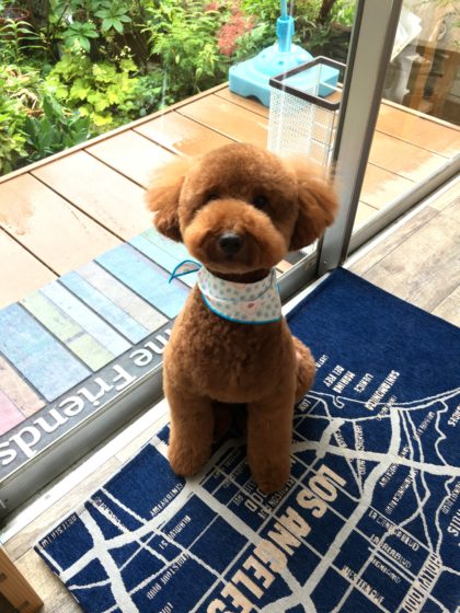 Processed with MOLDIV