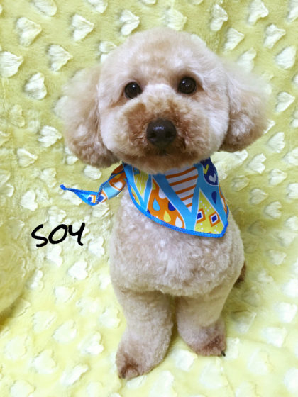 Processed with MOLDIV