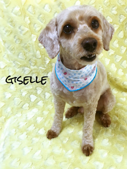 Processed with MOLDIV