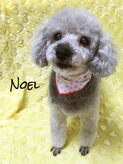 Processed with MOLDIV