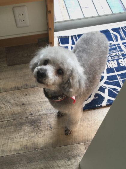 Processed with MOLDIV