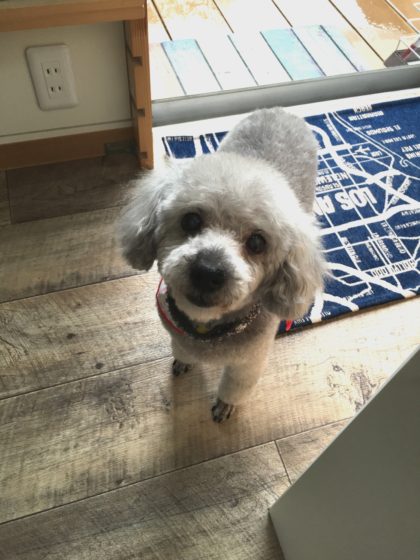 Processed with MOLDIV