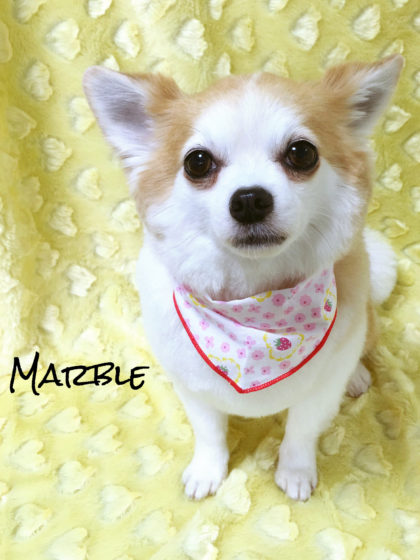 Processed with MOLDIV