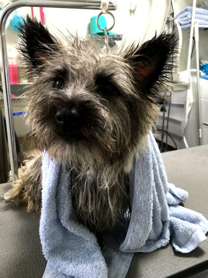 Processed with MOLDIV