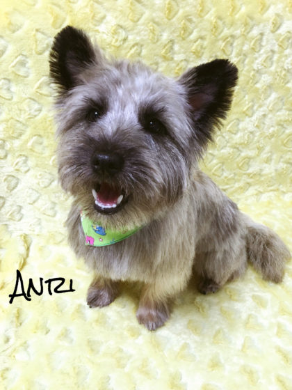 Processed with MOLDIV