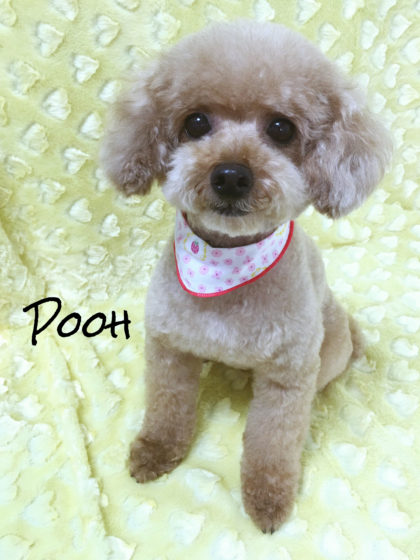 Processed with MOLDIV